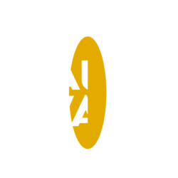 Braulio Tavares